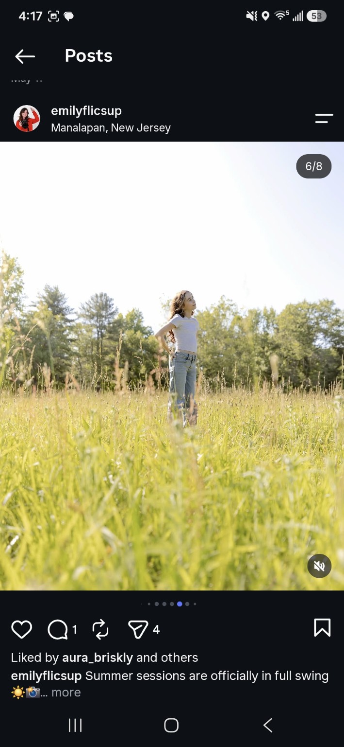 Summer: In the meadow